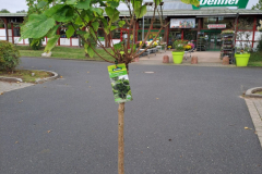 WhatsApp-Bild-2025-09-30-um-17.17.00_2f6fd30b